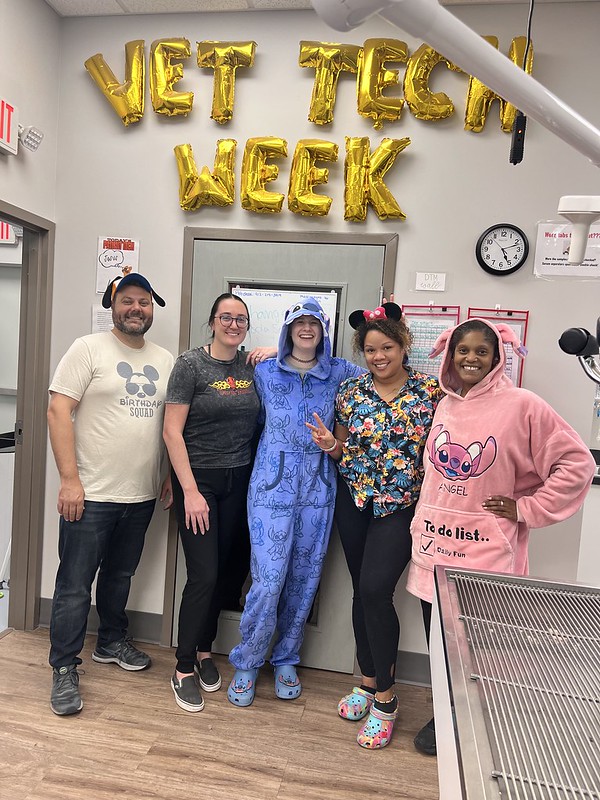 Vet tech week at Port City Animal Hospital 2024