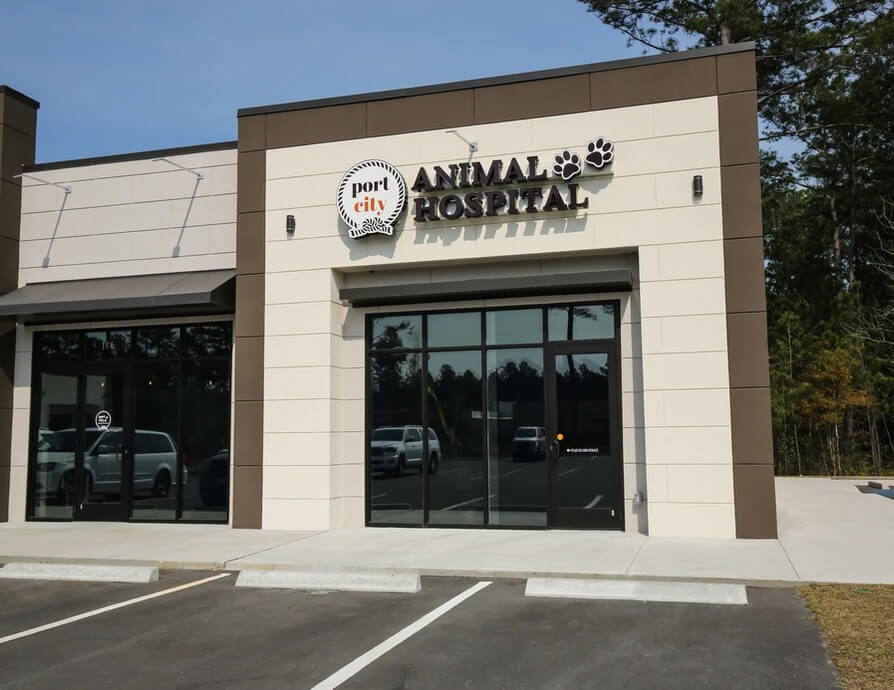 Full service animal hospital in Savannah, GA
