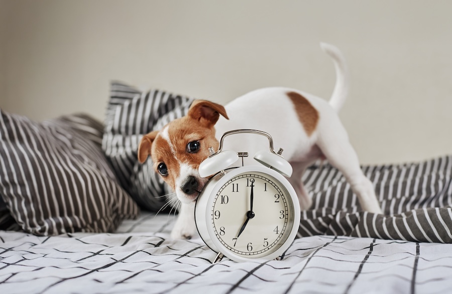 Clock