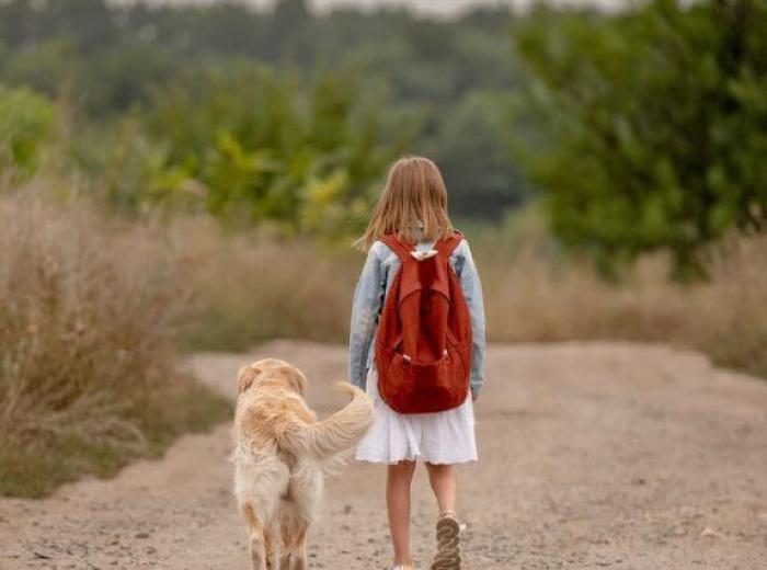 Back to School, Pet Edition: Helping Your Dog with Separation Anxiety