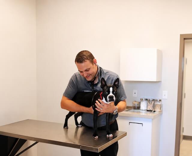 Comprehensive Diagnostics