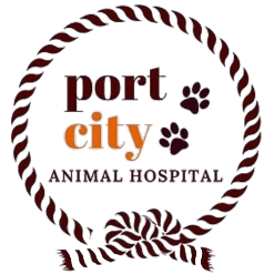 Port City Animal Hospital